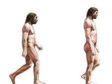 Creativiteitsgenen gaven homo sapiens voordeel op neanderthaler
