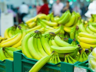 Hoe krijg je groene bananen sneller rijp? En smaken ze dan nog even lekker?