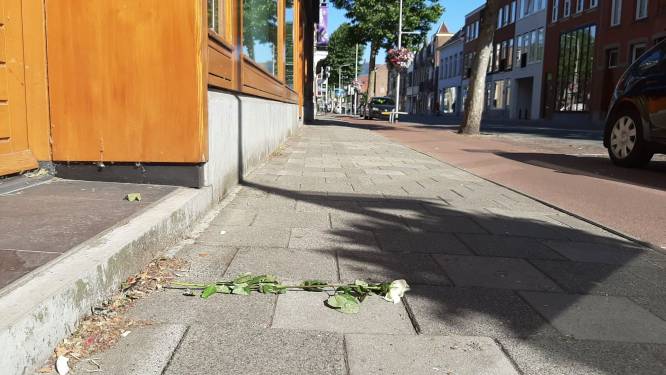 Het mysterie van de witte roos: tientallen bloemen duiken op in Roosendaal