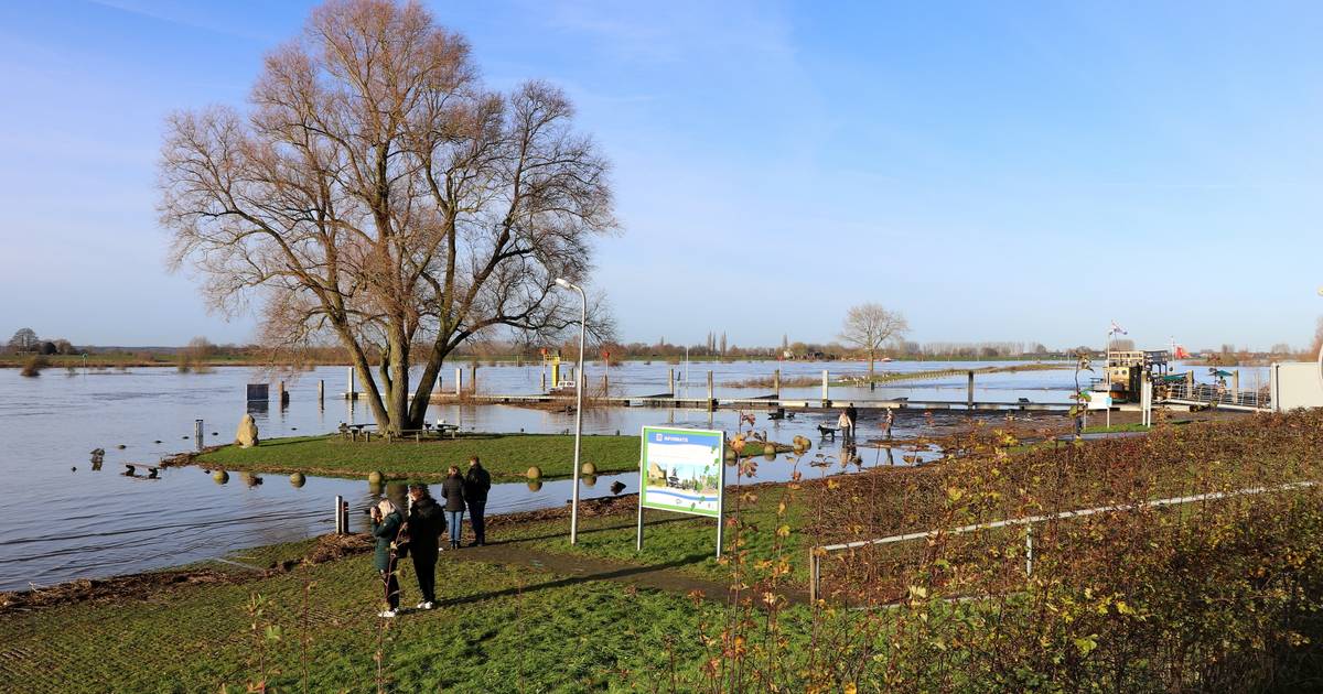 Hoog water bij Wijhe