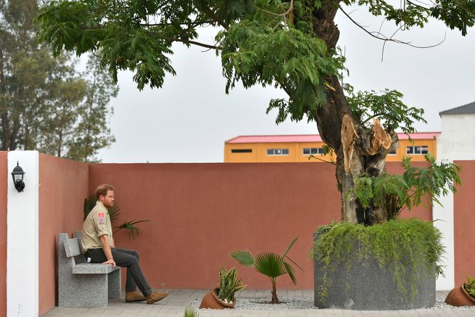 Britain's Prince Harry zit onder de zogeheten Diana Tree in Huambo, Angola