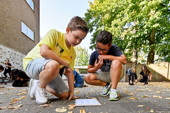 22-09-2020 - Roosendaal - Foto: Pix4Profs/Peter Braakmann - Kinderen van de Jeroen Boschschool krijgen vandaag buiten les. Op het terrein achter de school. Het is vandaag Nationale Buitenlesdag.