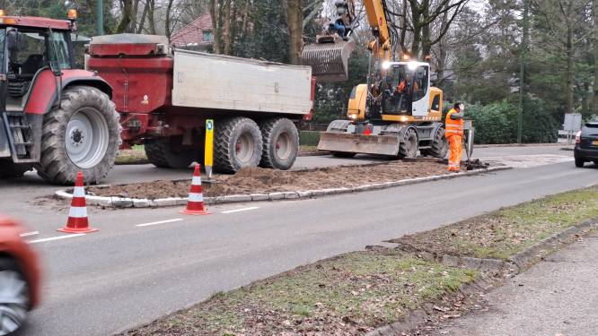 Utrechtse Heuvelrug gaat ‘zinloze’ verharding op wegen inzaaien met bloemen