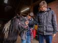 Cliënten van Tragel verzorgen pony Mendy op de kinderboerderij in Terneuzen. Haar maatje Jessica is pas overleden.