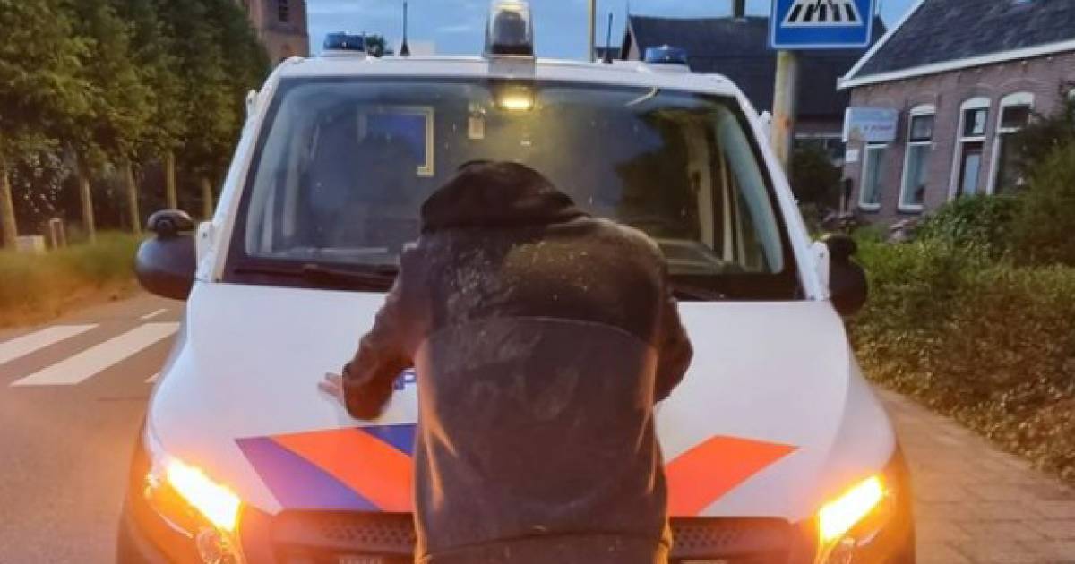 Inbrekers aangehouden in Leerbroek na achtervolging door het dorp met diensthond Joep