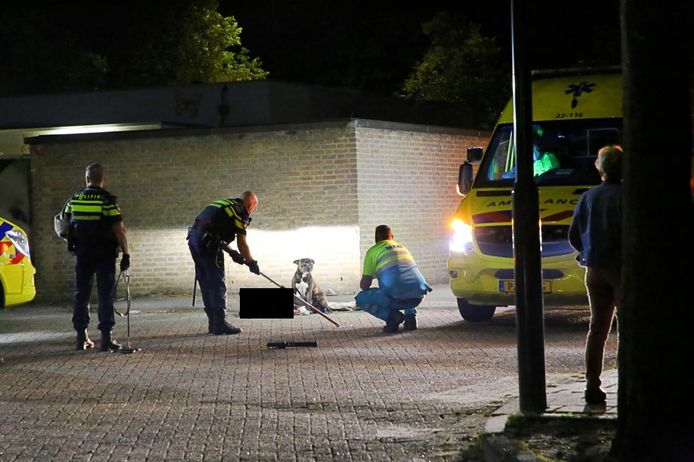 Op de Varkensmarkt in Bladel werd in de nacht van zaterdag op zondag een zwaargewonde vrouw aangetroffen.