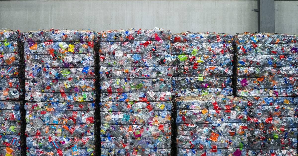 Why is it so important to return bottles and cans? And four other