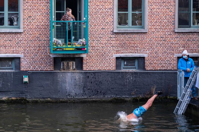 Zes presentatoren van De Warmste Week waagden zich aan een ijsberenduik in de Dijle.