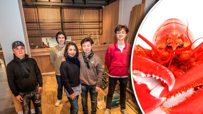 Bij dit hippe nieuwe Chinese restaurant geen rijsttafel of vettige babi pangang, maar kreeft en coquilles