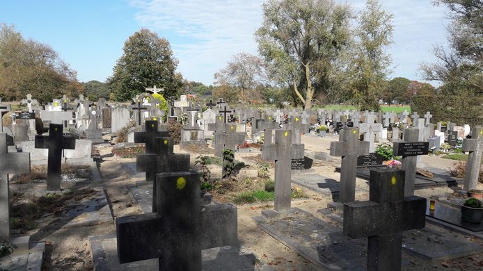 Het kerkhof in Biest-Houtakker. De met een gele stip gemarkeerde graven worden geruimd. Dat is naar schatting ruim een derde van alle graven.