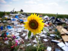 MH17-nabestaanden hebben recht op miljoenen schadevergoeding
