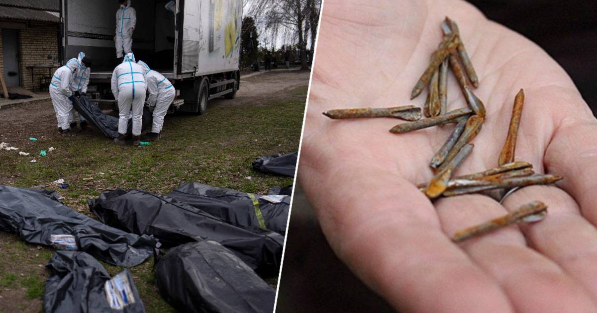 Frecce di metallo ritrovate nei corpi di civili morti in Botja: “Quest’arma è stata usata in massa durante la prima guerra mondiale” |  Guerra tra Ucraina e Russia