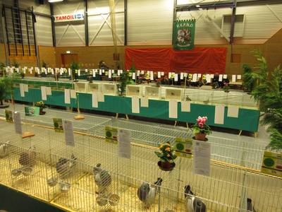 VKPNO showt zo'n 200 kleindieren in dorpshuis Tavenu