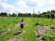 Groen licht: Voedselbos Den Hout komt tussen Vrachelsestraat en sportpark Contreie