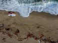 Stukken hout spoelden aan op het strand nadat een boot met migranten zonk voor de zuidelijke regio Calabrië in Italië.