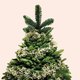 Budget kersttrend: zó versier je voor € 3 je hele kerstboom