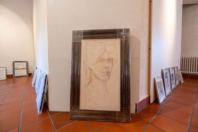 Tentoonstelling 'So Far So Good'  van Luc Morjaeu in De Notelaer in Hingene