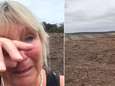 Vrouw schreeuwt het uit na brutale houtkap: “Ze hebben al onze koala’s gedood”