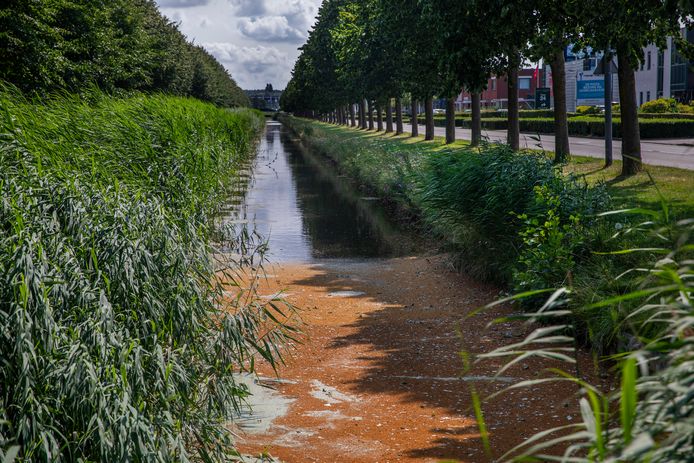 De sloot op het bedrijventerrein Forepark ligt naast een woonwijk.