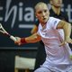 Steve Darcis bereikt kwartfinales in Rennes