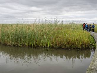 Minder natuur en bos in Nederland, steeds meer plekken bebouwd