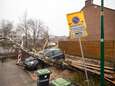 Auto ligt al drie dagen onder boom door storm Eunice: ‘Andere zaken hebben voorrang’