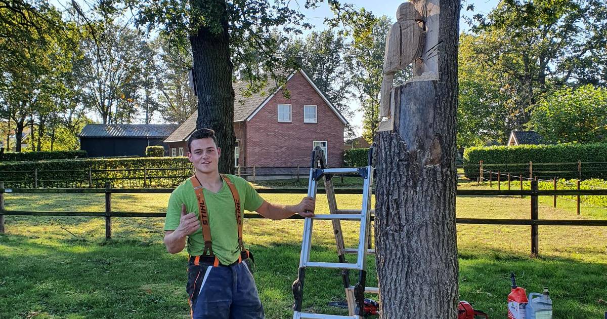 Harm (19) maakt ook nog specht en vos in boomstam Riethoven