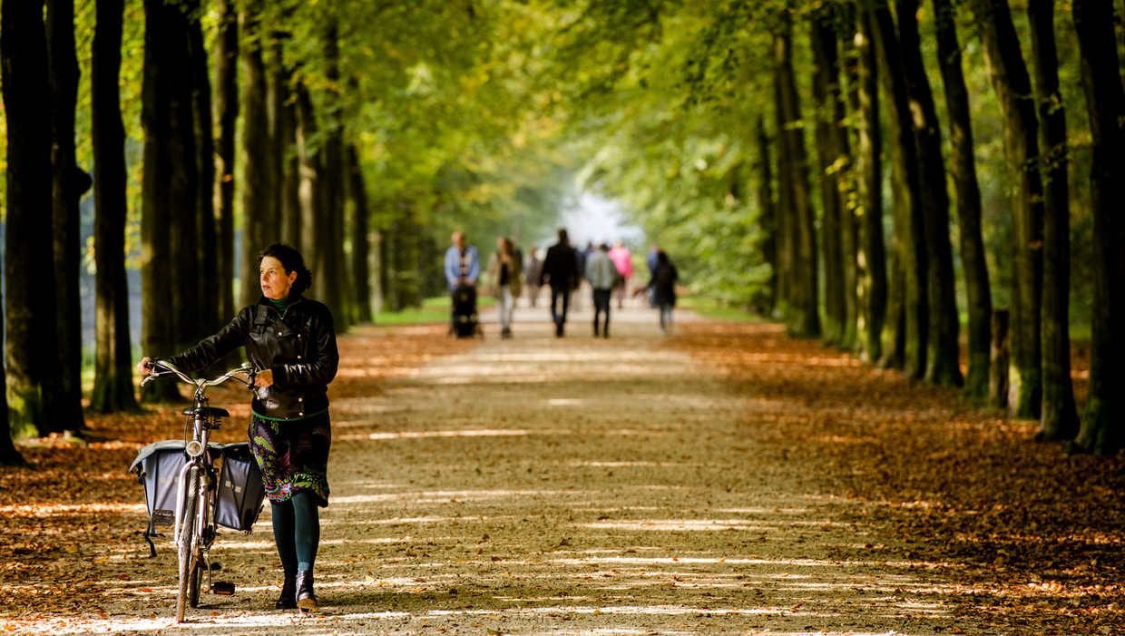 Wandelaars op Landgoed Groeneveld op een zonnige herfstdag. Beeld anp