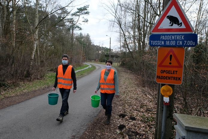 paddenoverzet