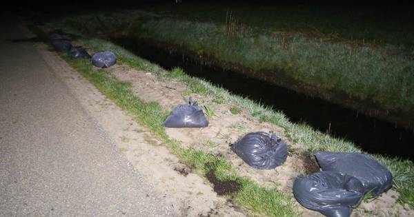 Zakken vol hennepafval gedumpt in polder: spoor van ruim een kilometer - AD.nl
