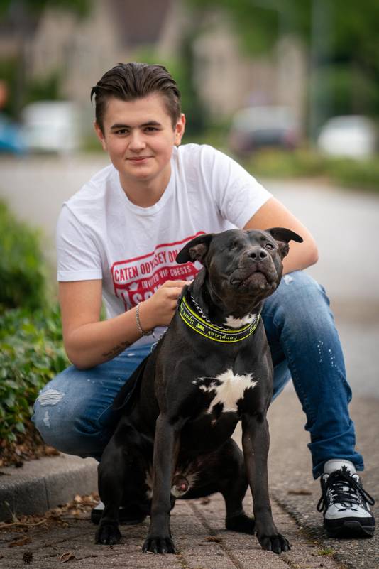 Hond Tommy  met baasje Quincy.