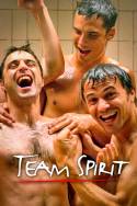 boxcover van Team Spirit: De serie