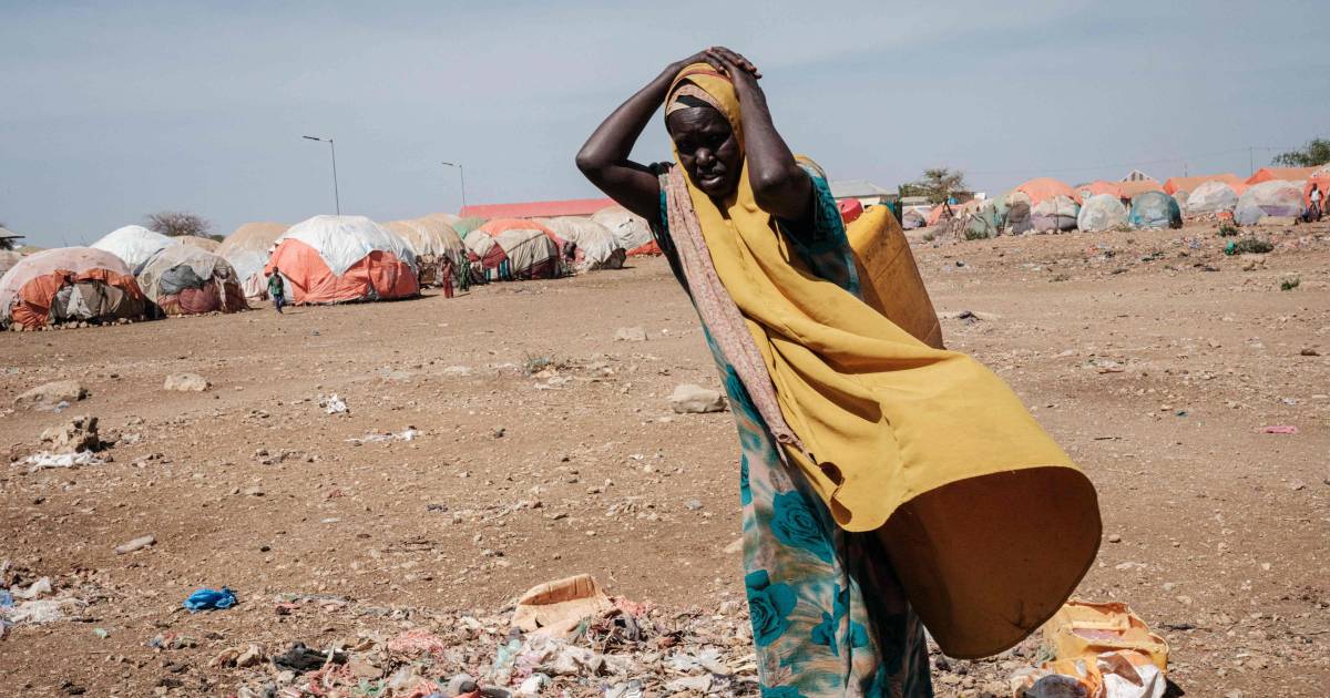 Il WFP chiede agli altri Paesi vulnerabili di non dimenticare: “Senza sicurezza alimentare, la pace è un’illusione” |  All’estero
