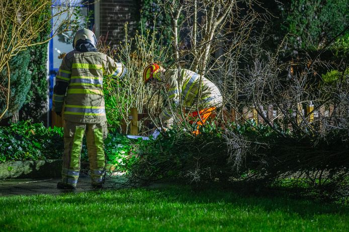 Op de Veenweg in Wilnis is een boom omver geblazen.