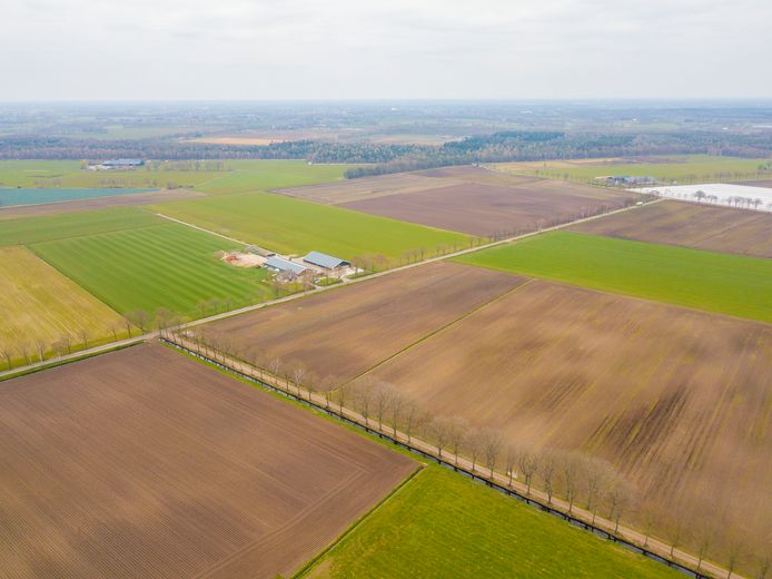 Laarbeek heeft onlangs een voorkeursrecht gelegd op 142 percelen ten noorden van Mariahout; dus als eigenaren die grond willen verkopen, moeten ze die eerst aan de gemeente aanbieden.