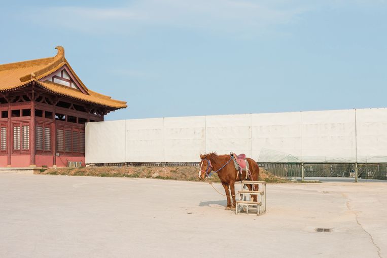 Paard in Shenzhen, China, 2016. Zijn baasje is zo te zien niet al te kwiek meer. Beeld Pauline Niks