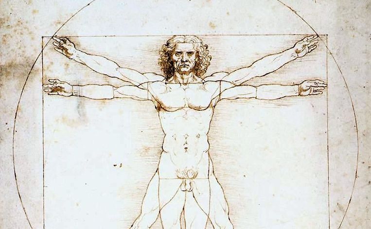 Uitsnede van Le proporzioni del corpo umano secondo Vitruvio van wetenschapper Leonardo da Vinci Beeld 