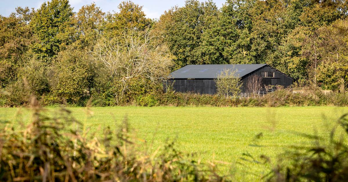 Dwangsom na dwangsom door bouw schuur in De Lutte, maar dan neemt kwestie verrassende wending