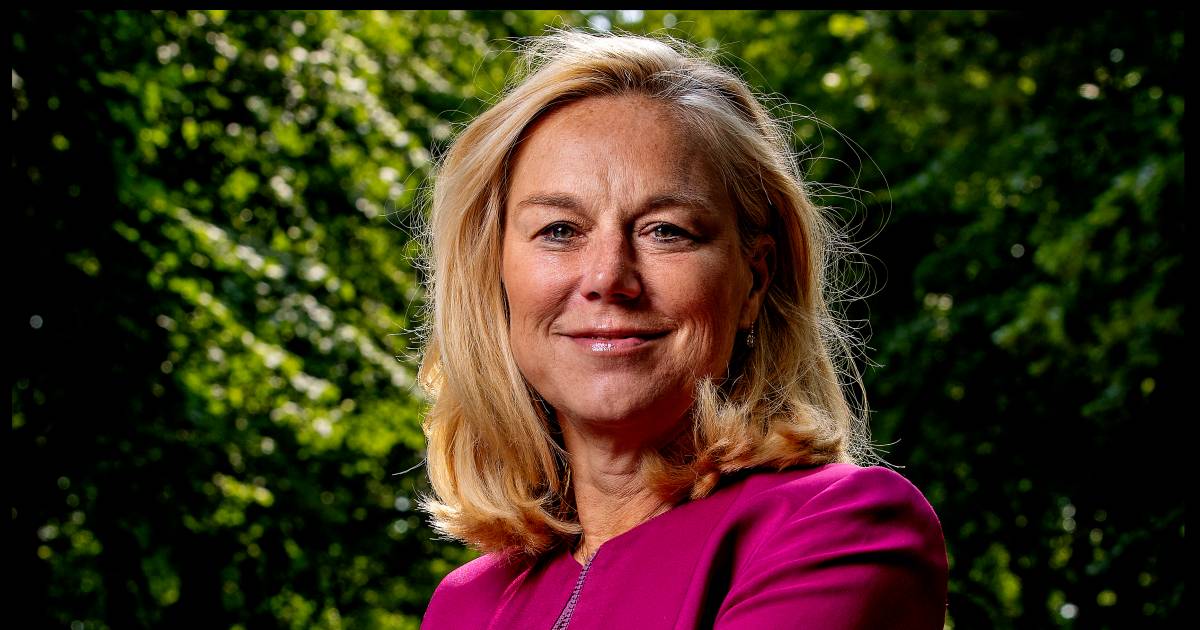 Kaag Doet Het Ik Wil D66 Lijsttrekker En Premier Worden Politiek Ad Nl