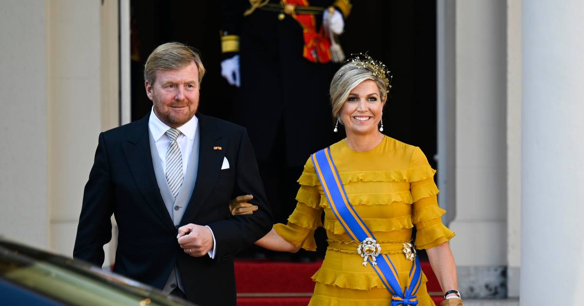 Maxima gele jurk clearance
