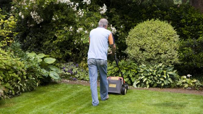 Utrecht roept op: laat wat vaker je grasmaaier staan
