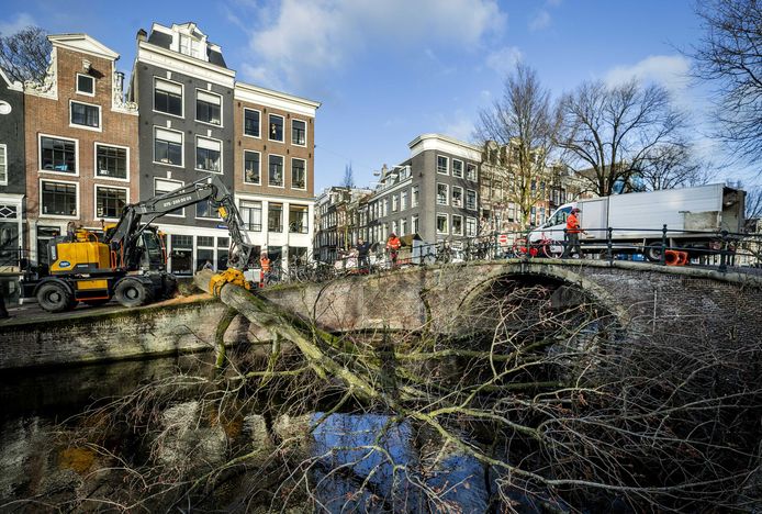 Medewerkers van de gemeente ruimen een omgevallen boom op aan de Reguliersgracht. Op meerdere plekken in het land richtte storm Eunice schade aan.