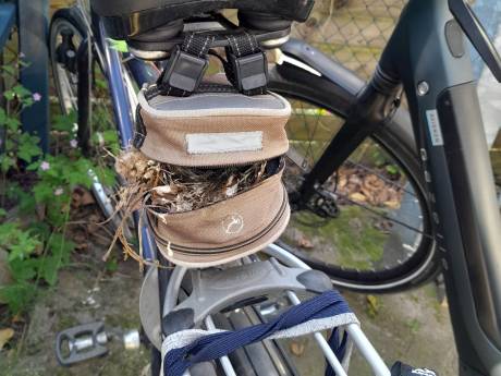Nestelen in bijzondere ‘eierdoos’: ‘Als je je fiets lang laat staan, maken vogels gebruik van de gelegenheid. Mooi toch?