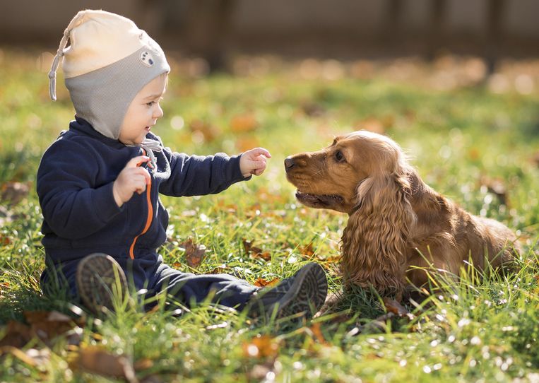 Rubber Beschikbaar Concreet Waarom een hond in het gezin goed is voor de gezondheid van je kind