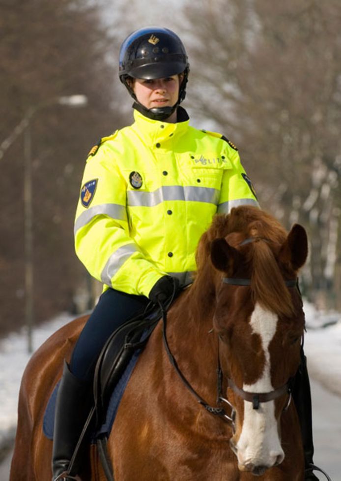 Politie te paard.