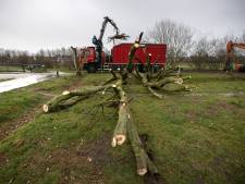 Actiecomité zet kort geding tegen aanleg bouwroute Lorentz Casimir Lyceum door