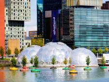De drijvende plastic bollen verhuizen deze week naar het Lloydkwartier