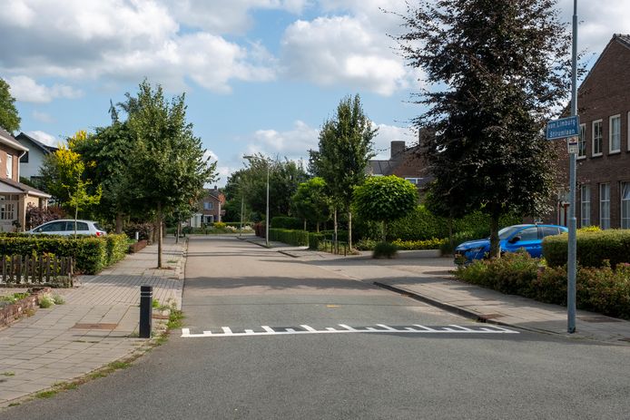 Het rustige buurtje stond zaterdagmiddag op zijn kop, toen twee inbrekers een auto meenamen en een bewoner bedreigden met een mes.