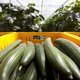 Nederlanders reageren massaal op vacatures van groente- en fruittelers