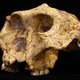 De vondst van scherpe stenen in Kenia stelt archeologen voor een raadsel: wie maakte dat gereedschap?